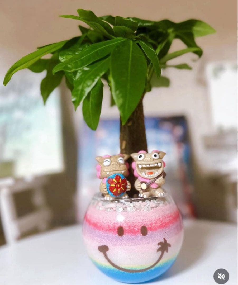 オーダー専用ページ