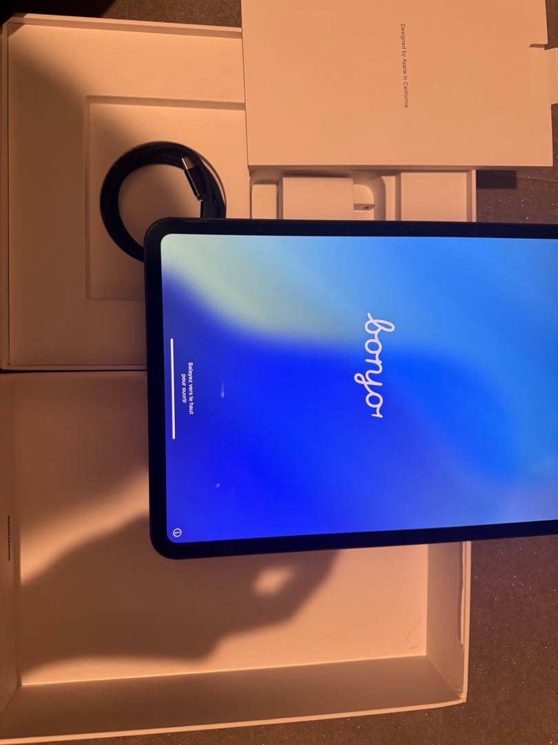 最終値下げiPadPro M411インチWi-Fi +Cellular