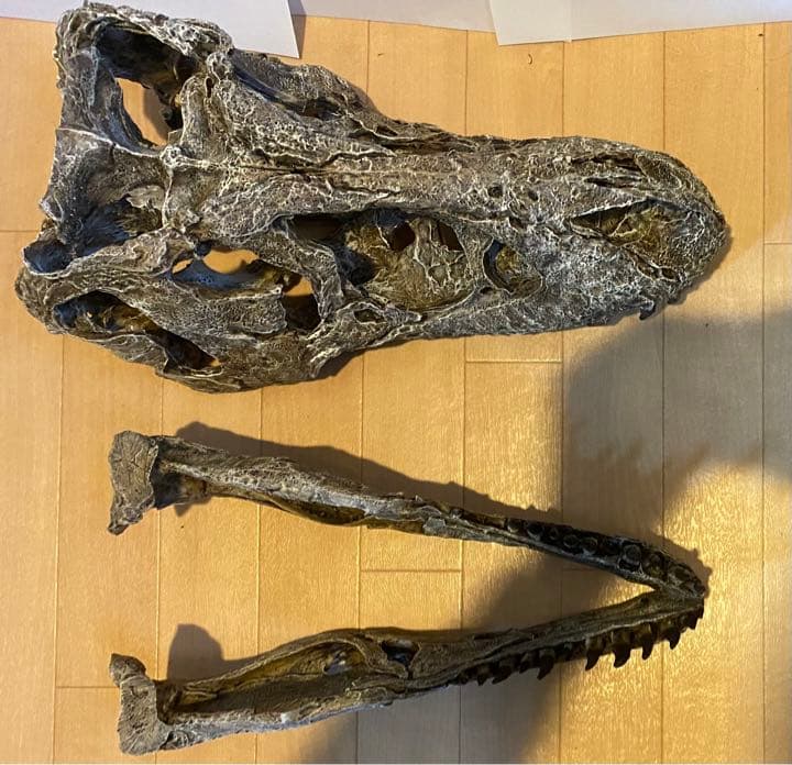 化石　レプリカ　恐竜　ティラノサウルス　T-REX 頭部　ラストワン　最後　値下