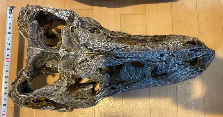 化石　レプリカ　恐竜　ティラノサウルス　T-REX 頭部　ラストワン　最後　値下