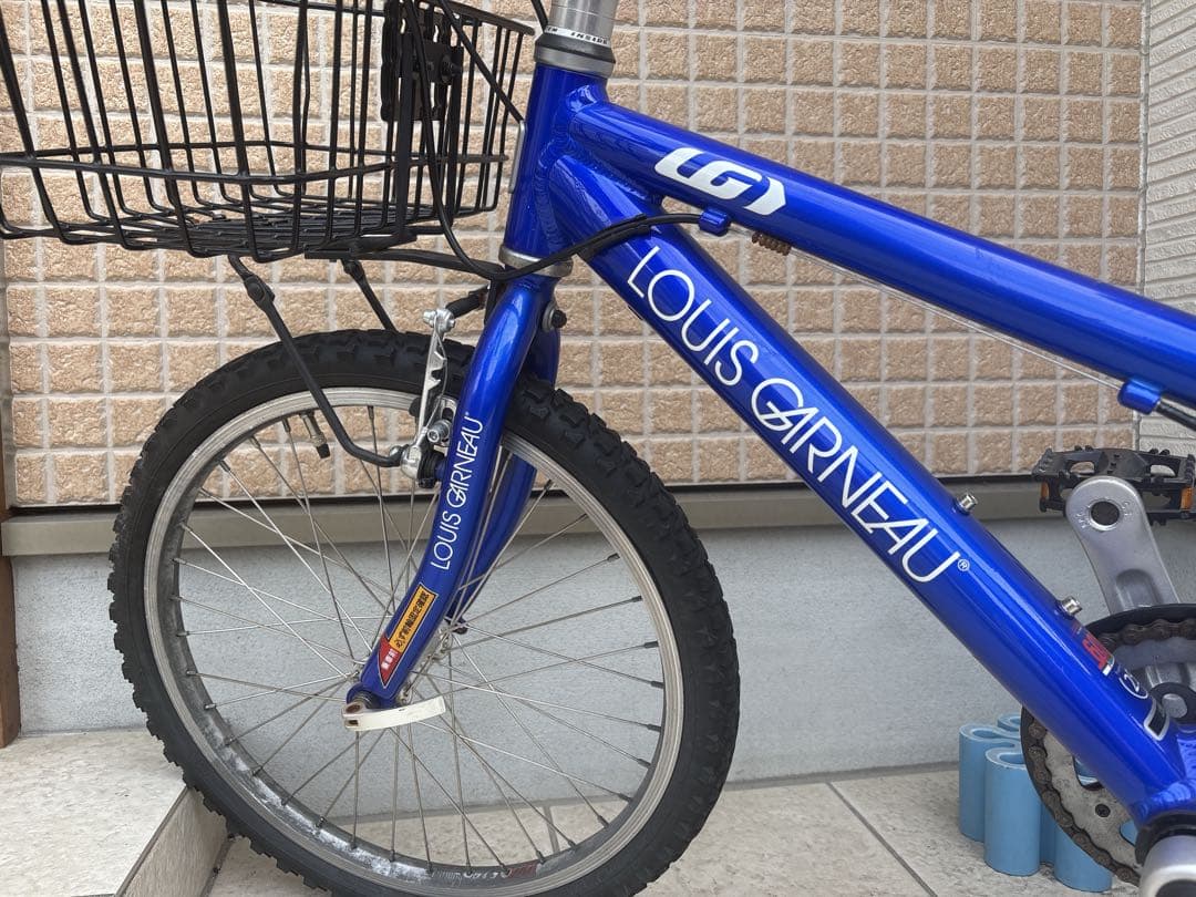 LOUIS GARNEAU J206 子供用マウンテンバイク 20インチ