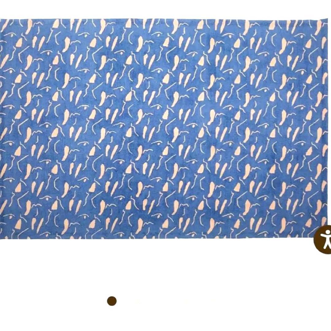 レア COLD PICNICラグ 4’×6’ Costumed