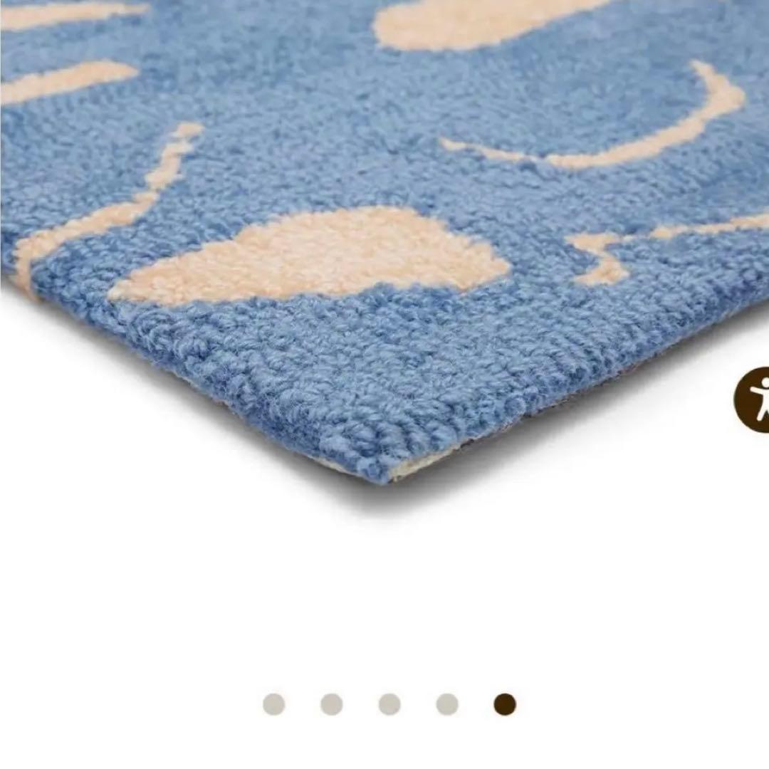 レア COLD PICNICラグ 4’×6’ Costumed