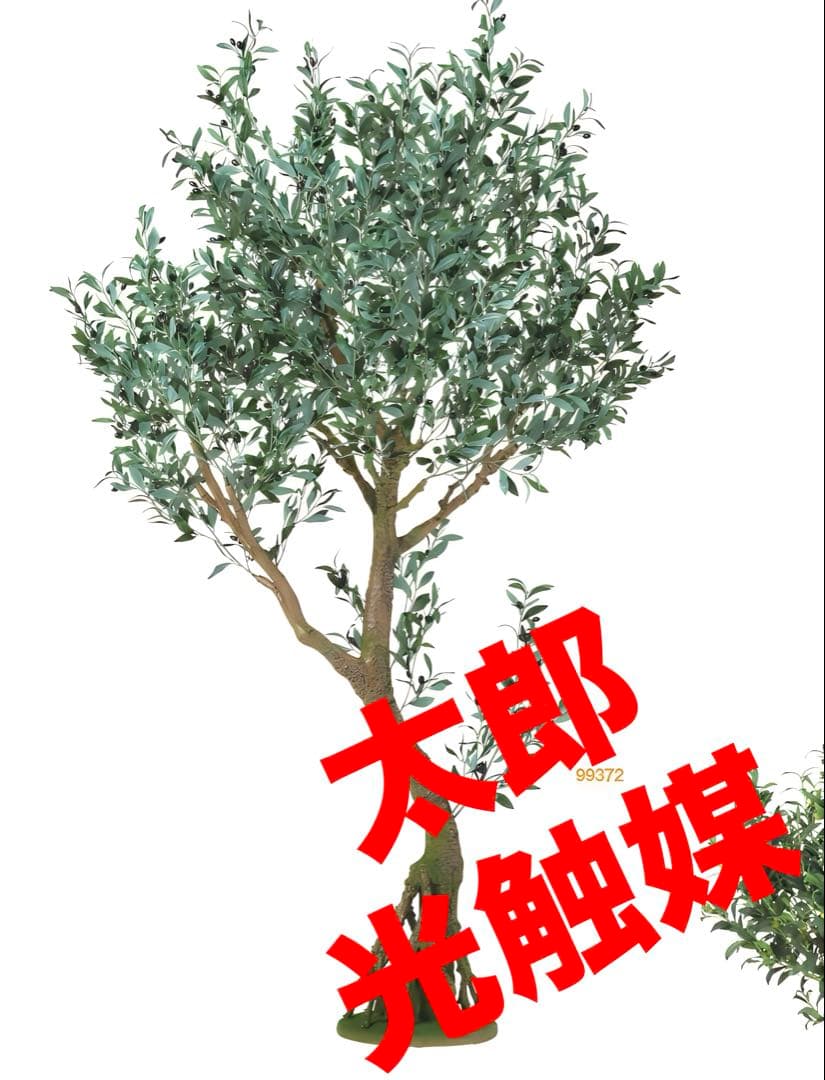 光触媒　人工観葉植物　フェイクグリーン　ブラックオリーブコアッド