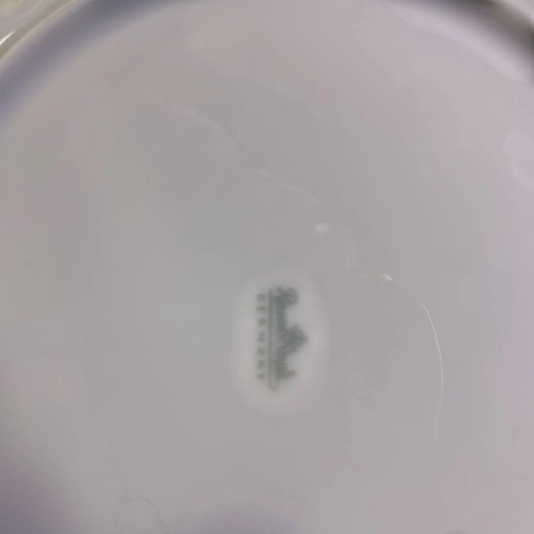 [美品]ドイツ　ローゼンタール 16.5cnプレート5枚セット