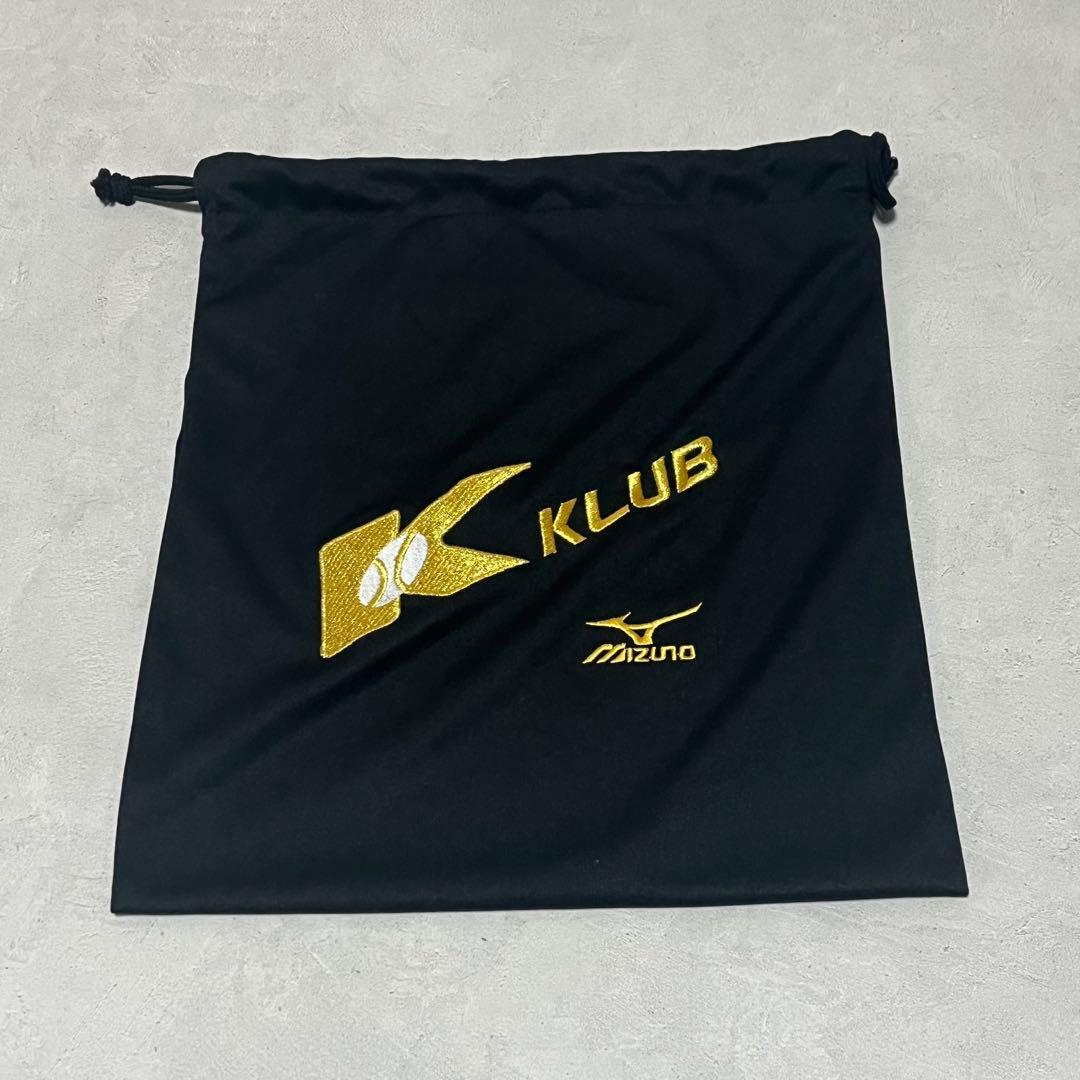 ミズノプロ硬式用 オーダーグラブ 投手用ピッチャービッグM 耕作刻印