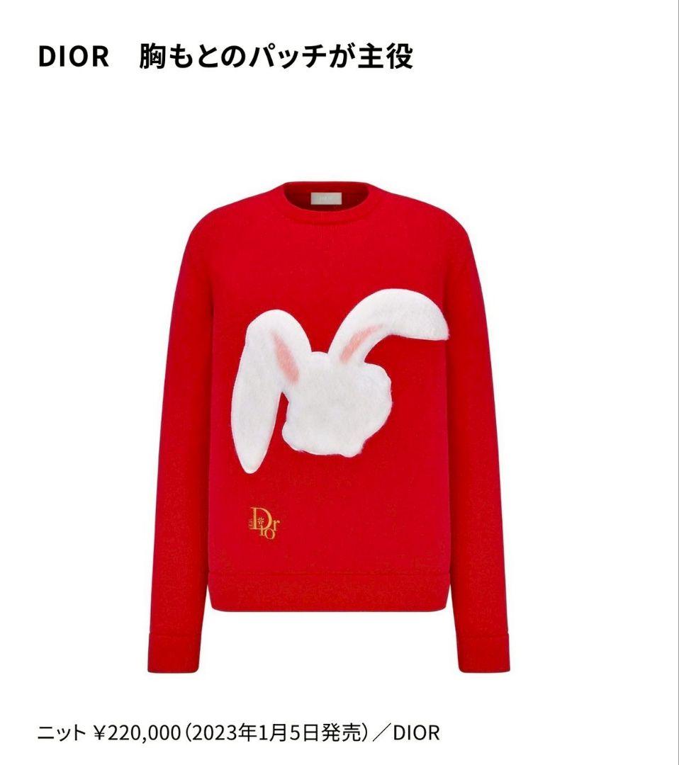 22万円 DIOR 2023SS ERL ディオール ラビットパッチ ロンT L