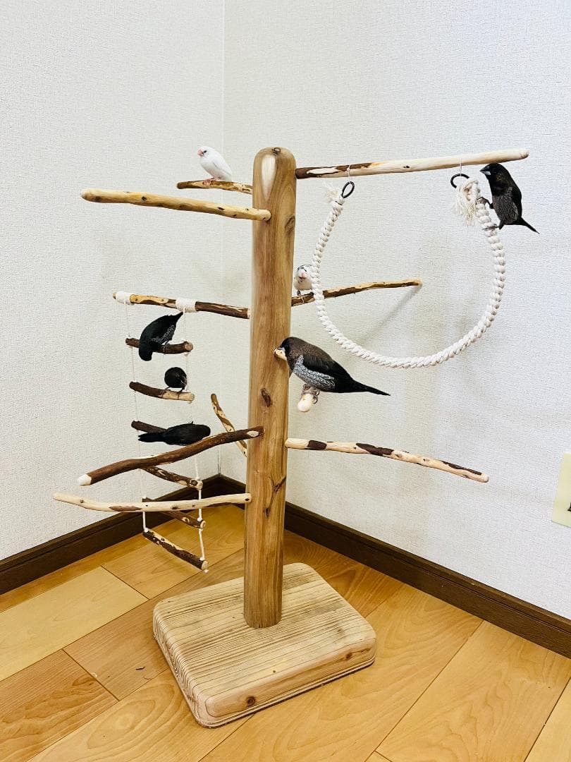 【小鳥用】ブランコ＆ハシゴ付　♬螺旋状 バードアスレチック