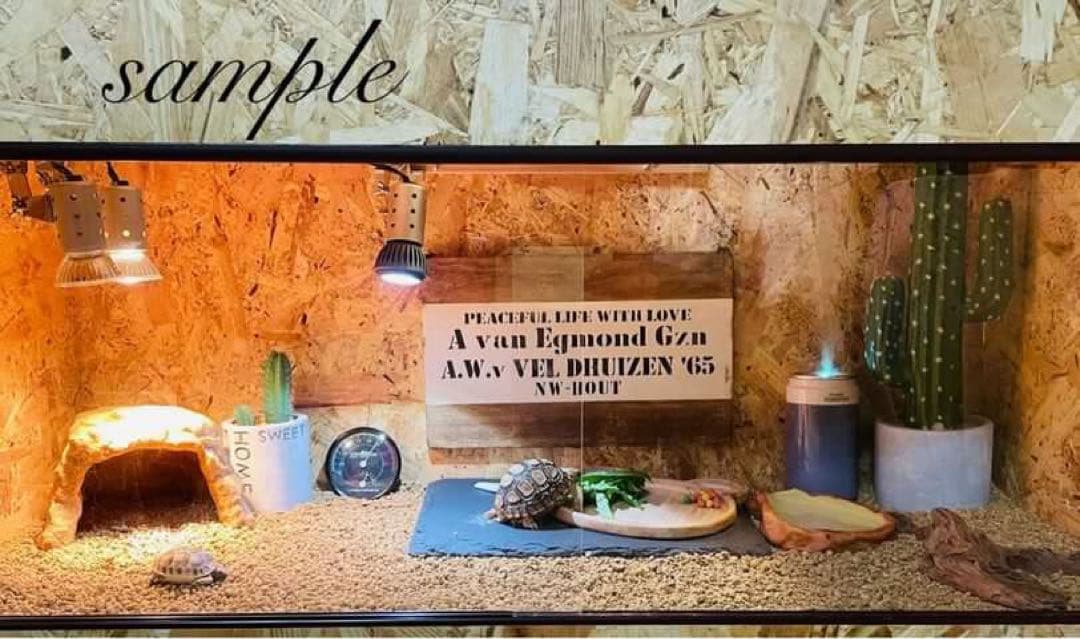 れいたん　900×600 右のみ