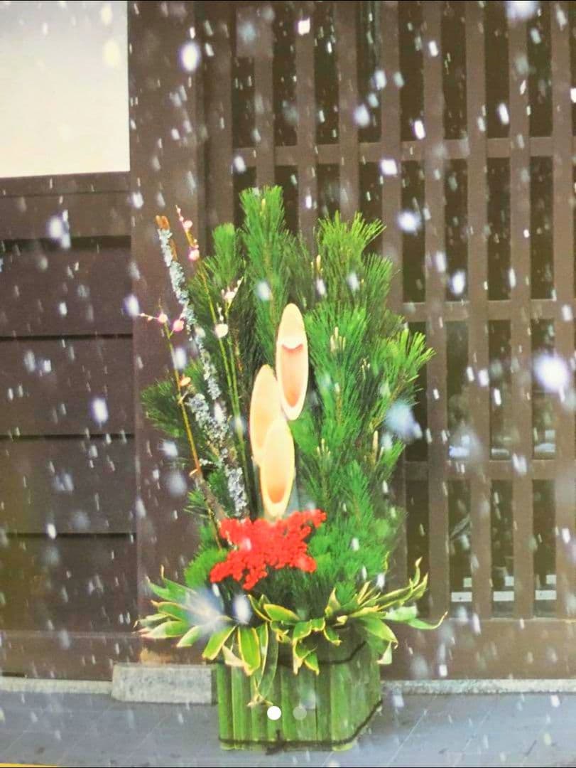 天然 竹 6本 お買い得セット （＾∇