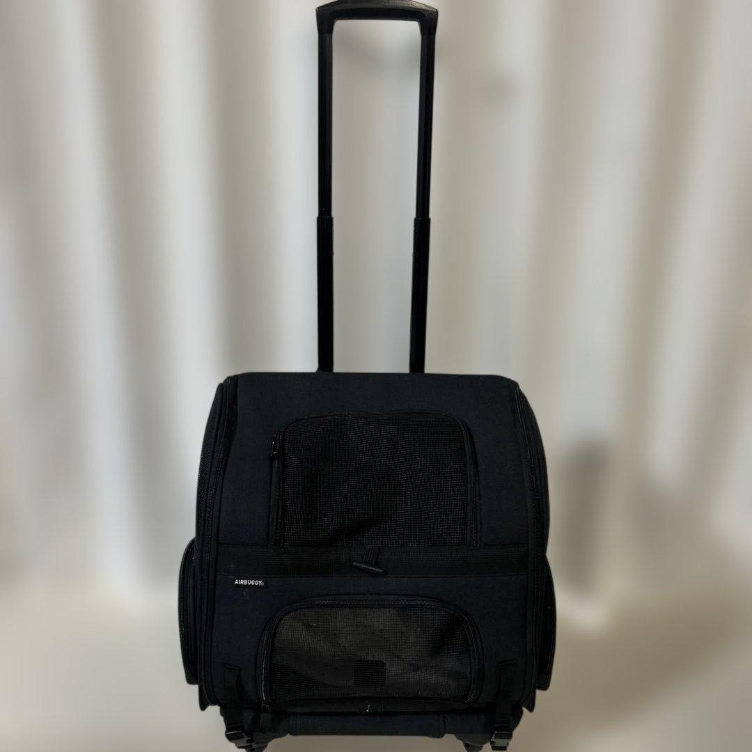 AIR BAGGYキャリーバッグ 伸縮式ハンドル付き