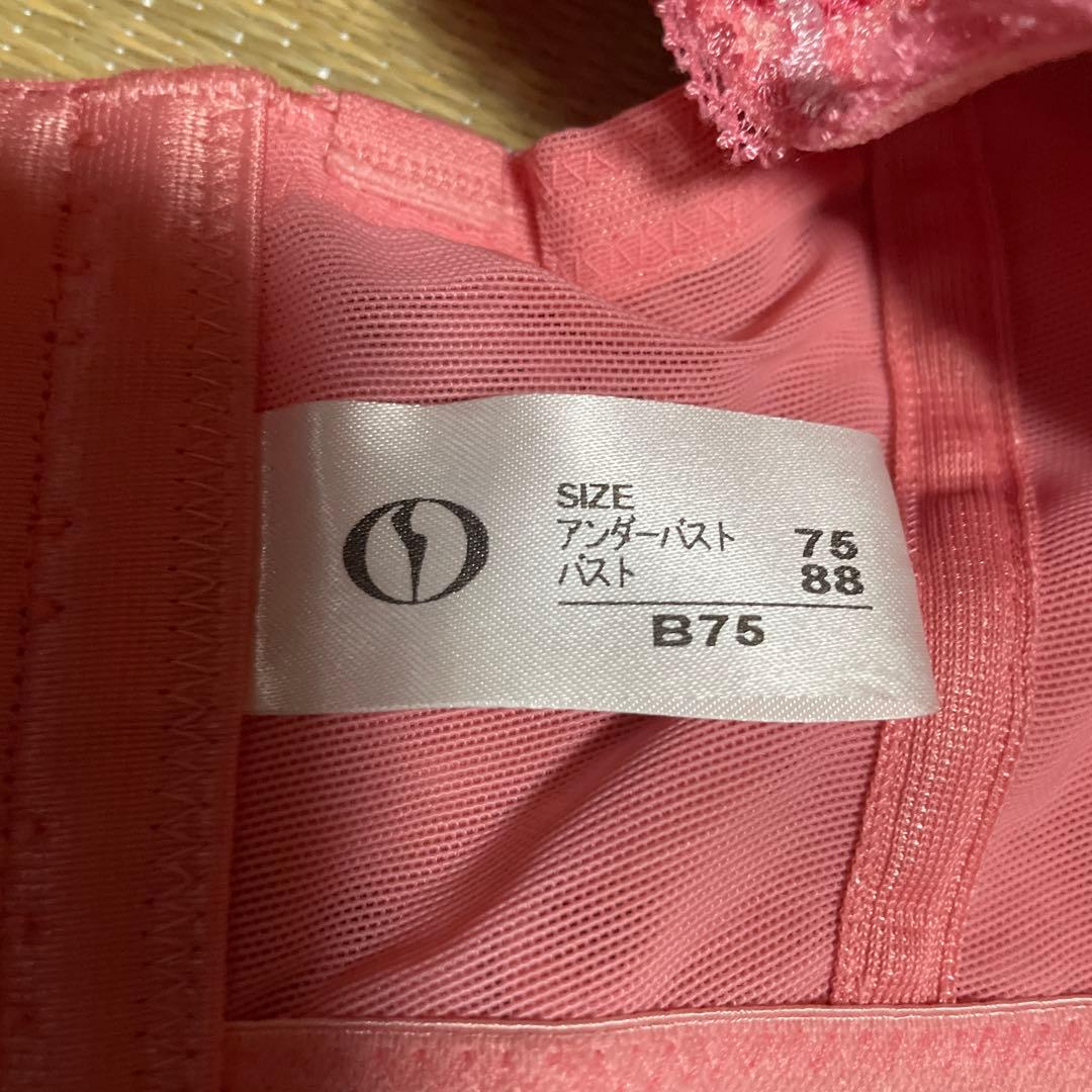 Diana 補整下着のダイアナ リセグラマラスブラジャー B75