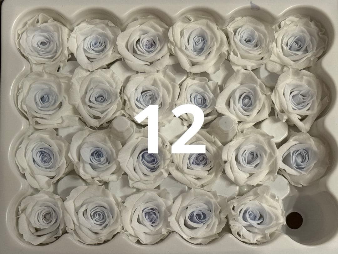 薔薇プリザーブドフラワー☆径2.0〜2.5cm★5個で¥300★