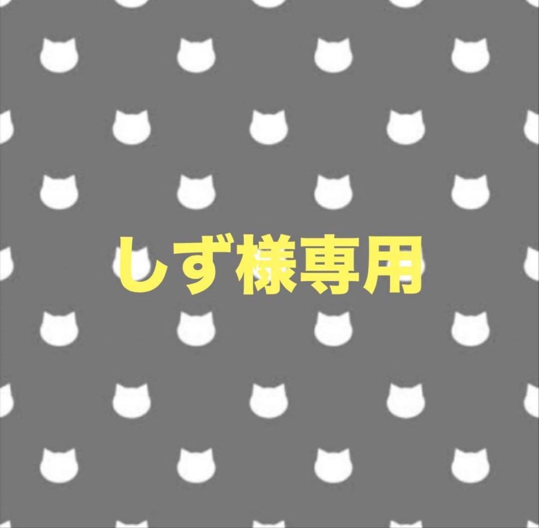 2/1しずページ