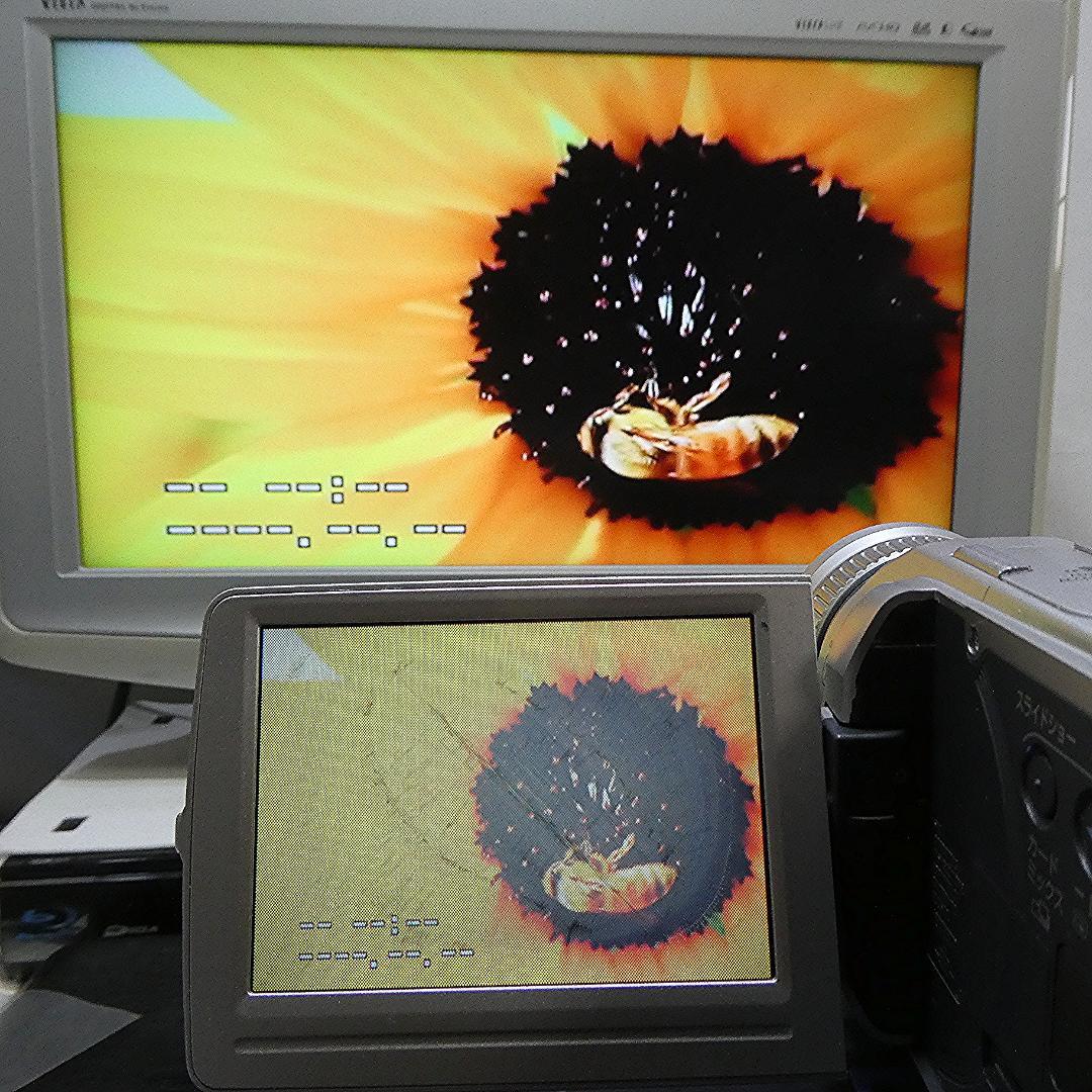 動作良好 キャノン DM-FV M10 MiniDVビデオカメラ DVD化に最適