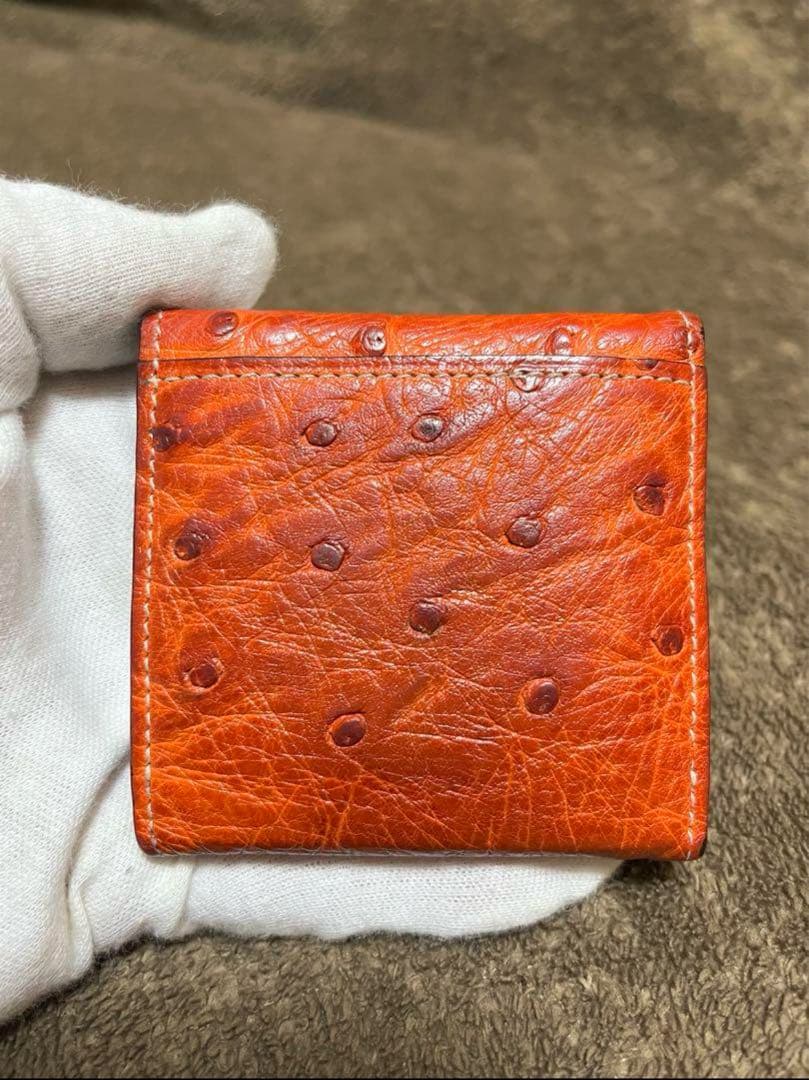 GANZO ケース　オーストリッチ　オレンジ