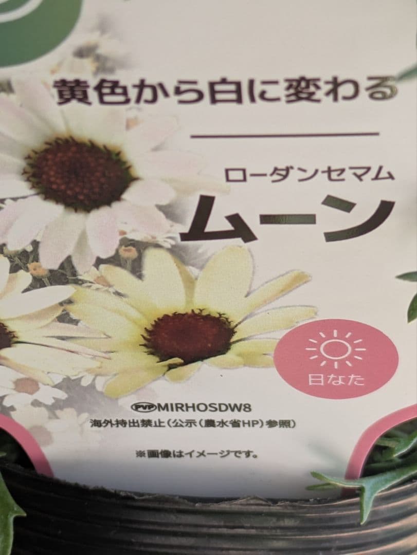 ♡sako様♡