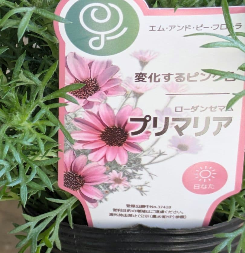 ♡sako様♡