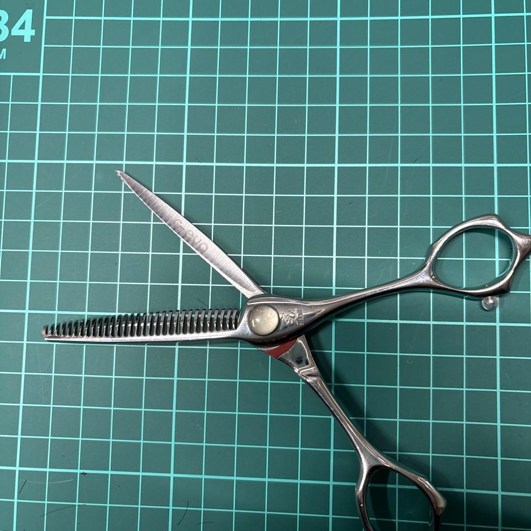 早い者勝ちヒカリシザーcevo760
