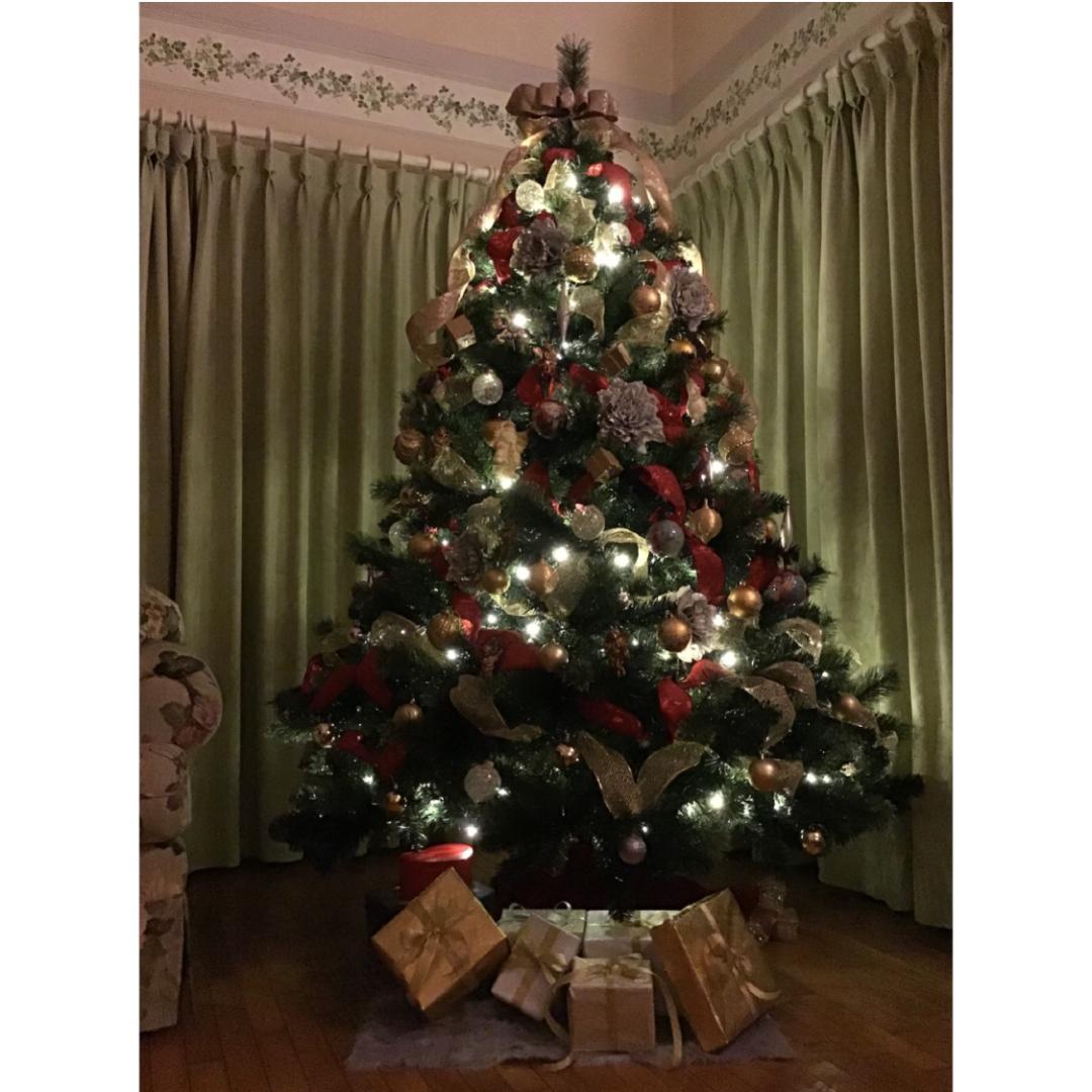 【即日発送】シルエットが美しいクリスマスツリー 存在感抜群 濃密度 最高品質