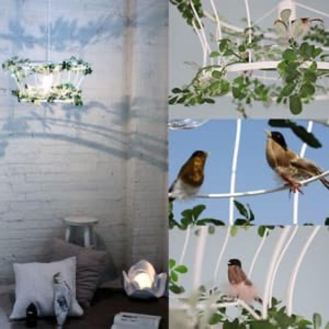 植物と鳥のデザイン ペンダントライト