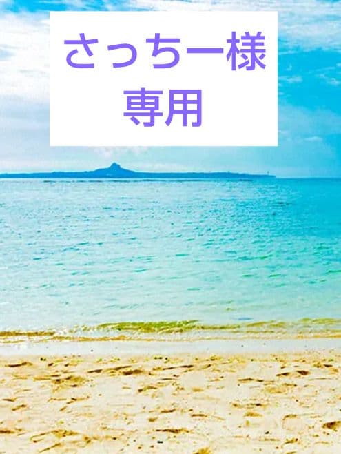 さっちー出品 おまとめ２点