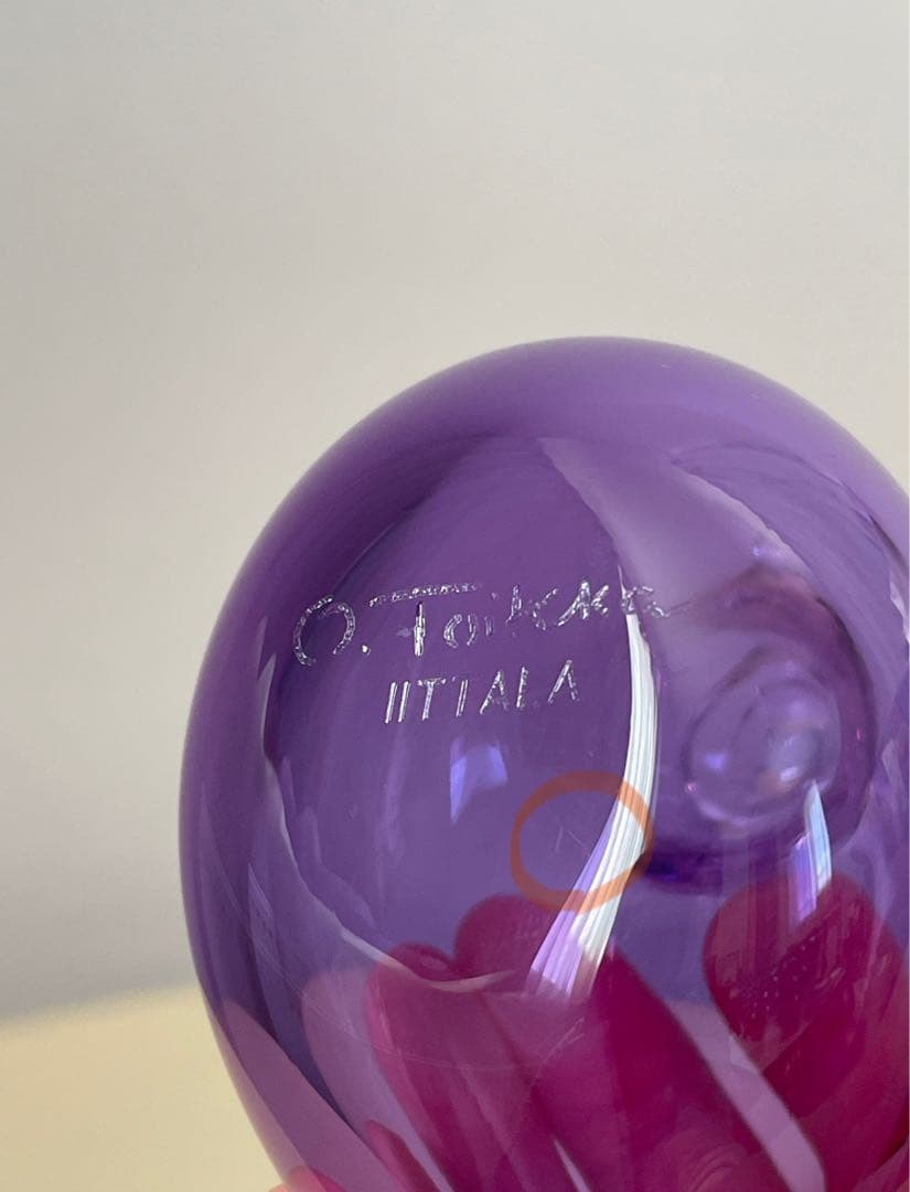 イッタラバード　リトルターン　アメジスト　scope オイバトイッカ