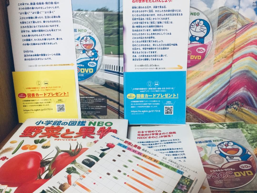 小学館の図鑑NEO 新版 DVD付き 14冊セット