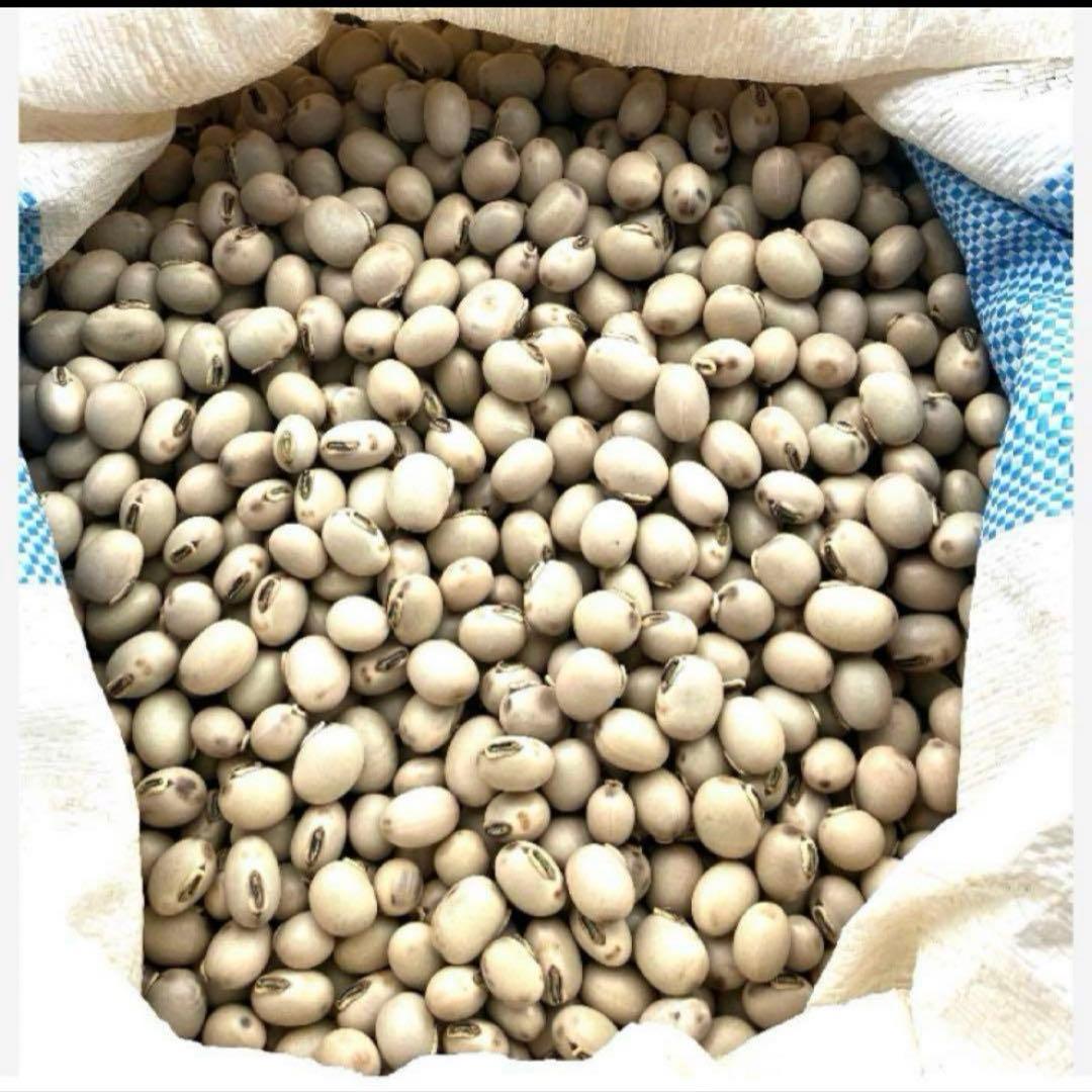 晴れの国岡山産ムクナ豆【八升豆】10kg‼️ 自然農