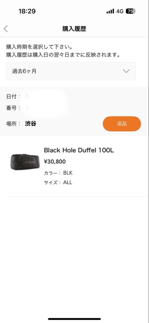 パタゴニア　ブラックホール・ダッフル 100L