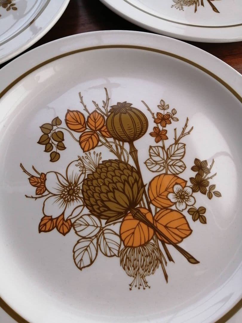 未使用 ビンテージ Midwinter COUNTRYSIDE リム付きプレート