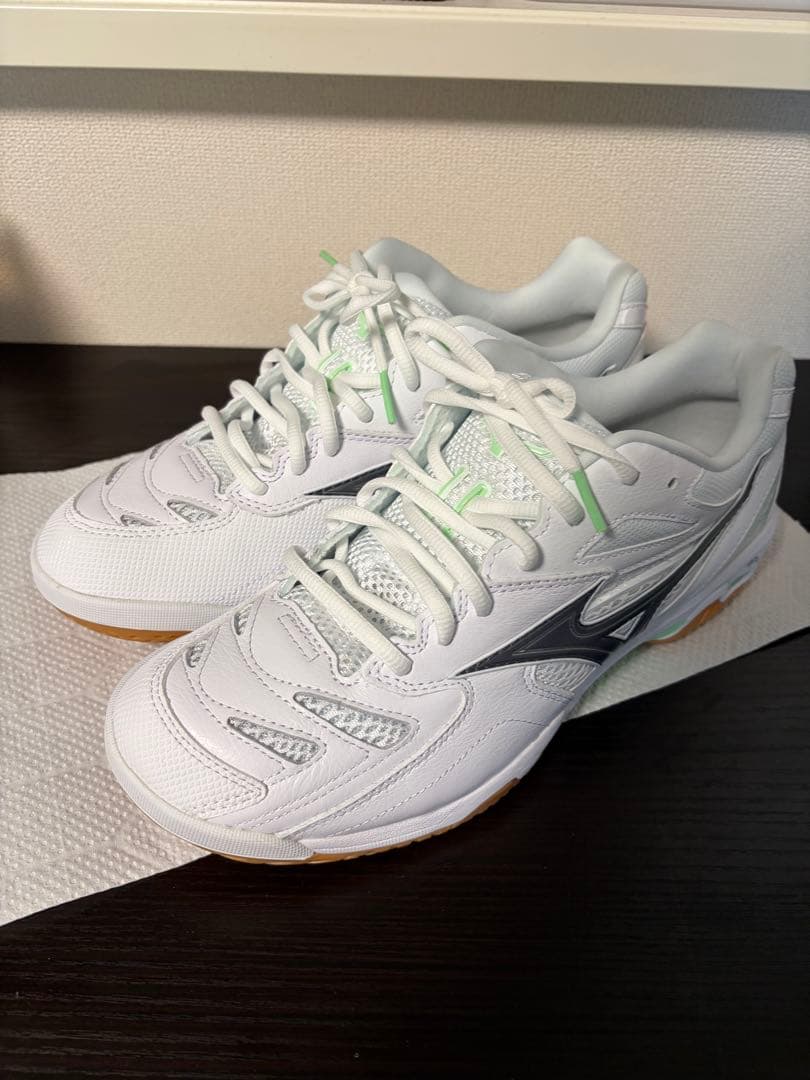 【限定品】 ミズノ ウェーブファングプロ