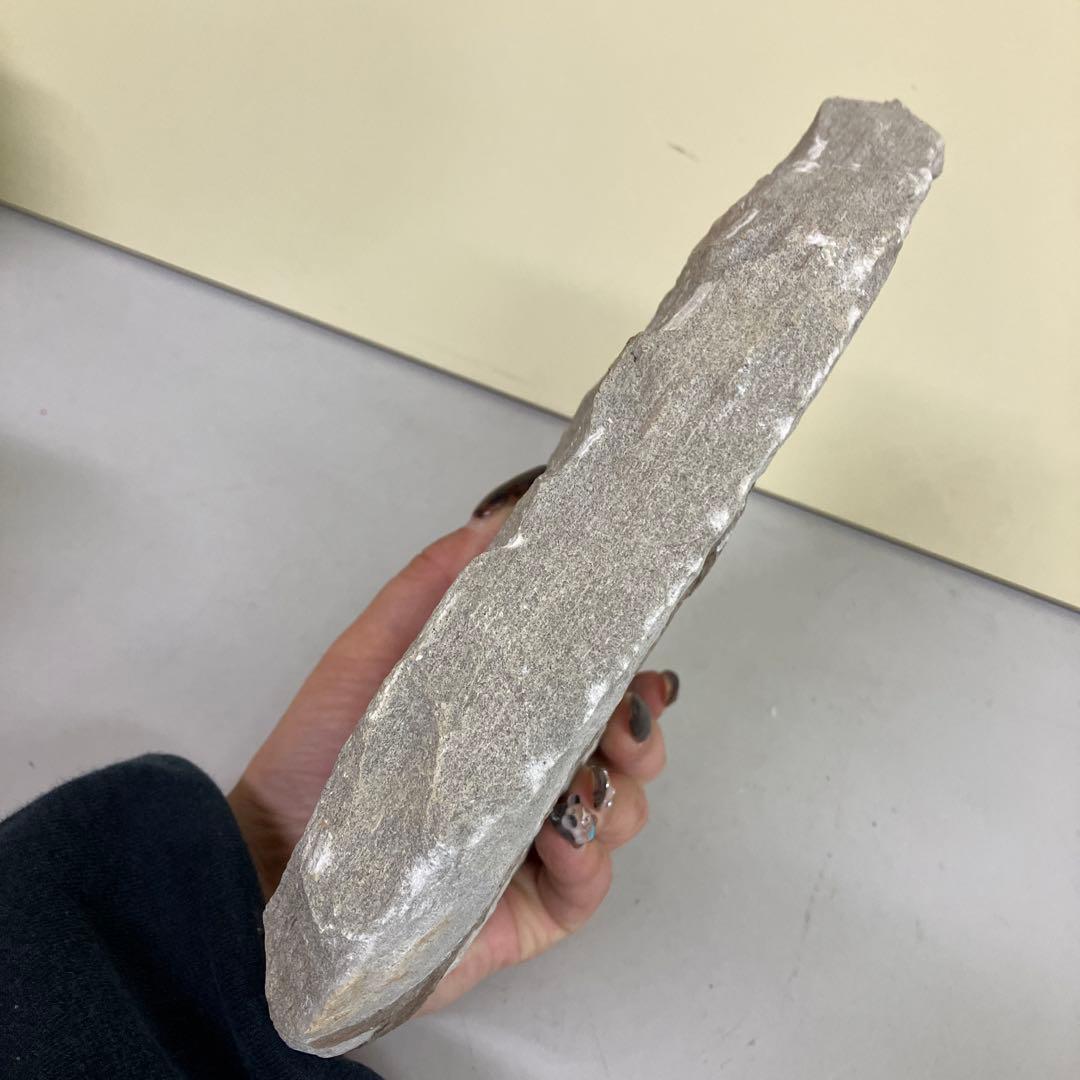 E-4 希少 魚の化石 2匹セット 古代魚 標本 石板 インテリア 置物 観賞用