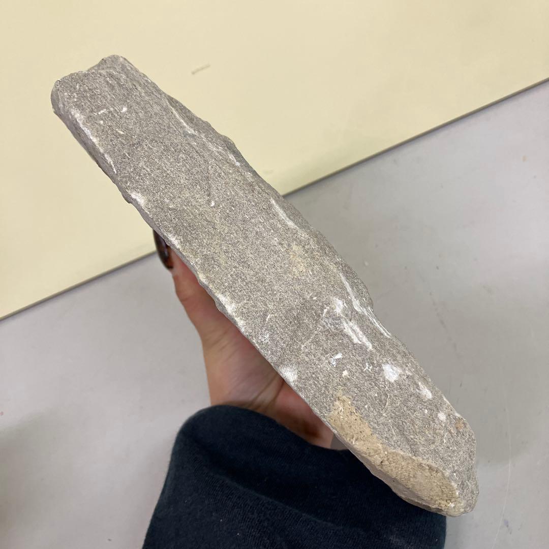 E-4 希少 魚の化石 2匹セット 古代魚 標本 石板 インテリア 置物 観賞用