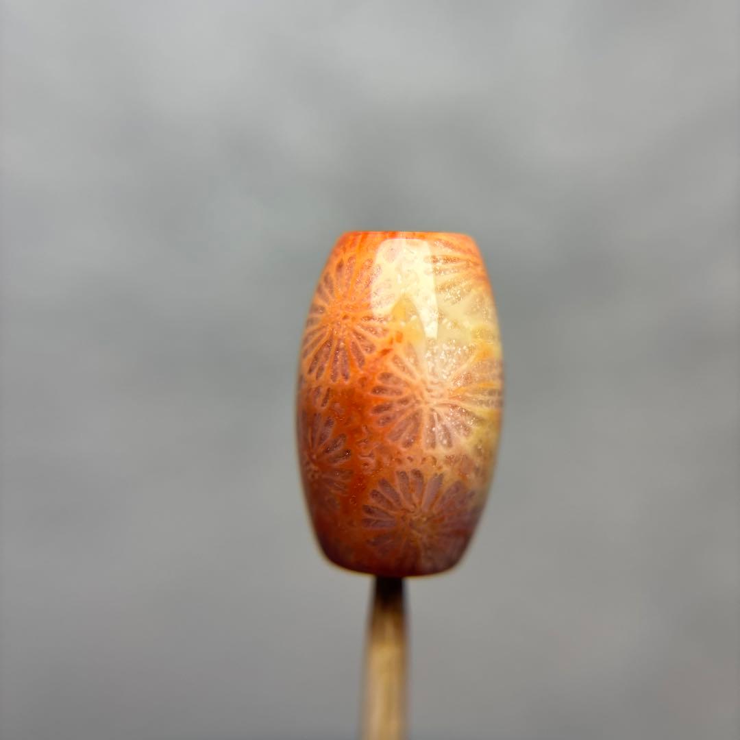 もんちゃんフォッシルコーラル　天珠　1-319