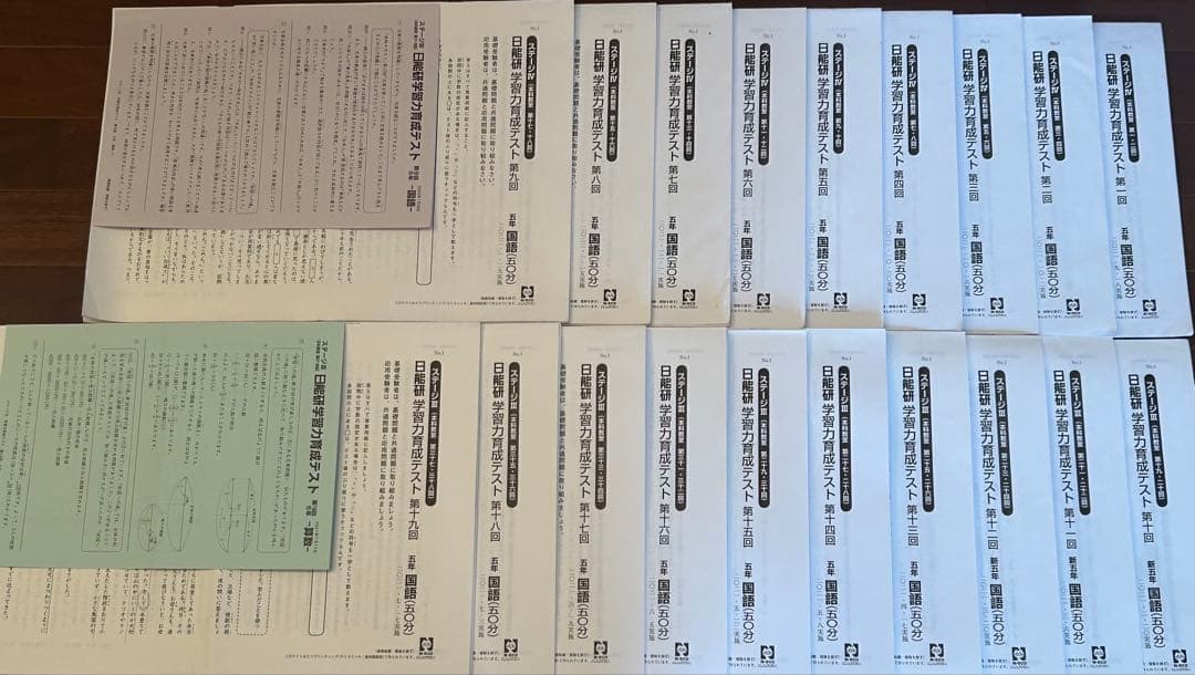 【日能研】学習力育成テスト5年 1年間 全19回分 2021年度