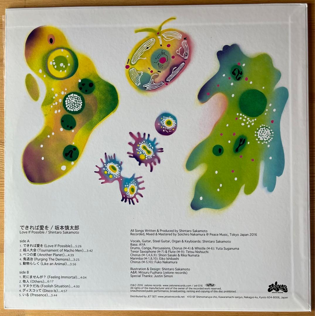 坂本慎太郎　できれば愛を　アナログレコード