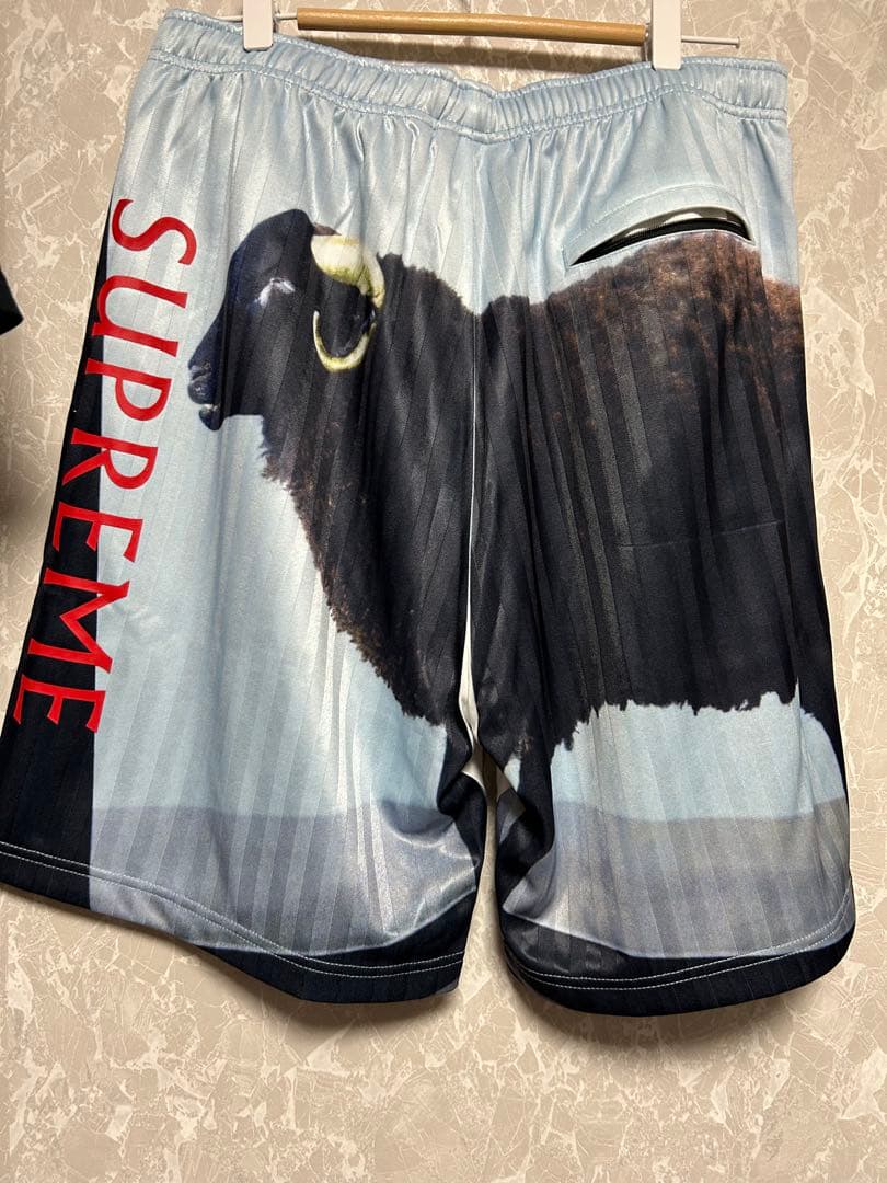 建*家様 Supreme Damien Hirst Soccer Short S