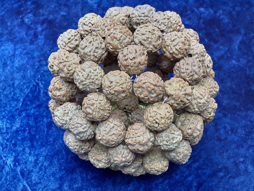 【見本品】ルドラクシャ☆神聖幾何学フラーレン☆菩提樹の実☆シブァの涙　展示品