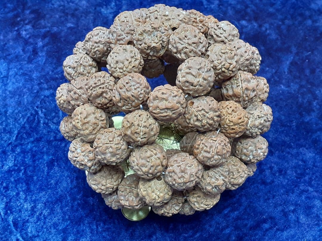 【見本品】ルドラクシャ☆神聖幾何学フラーレン☆菩提樹の実☆シブァの涙　展示品