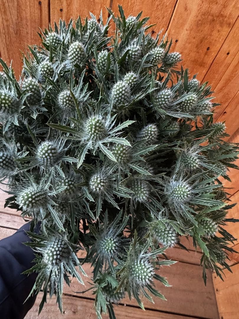 pp...様 リクエスト 3点 まとめ商品