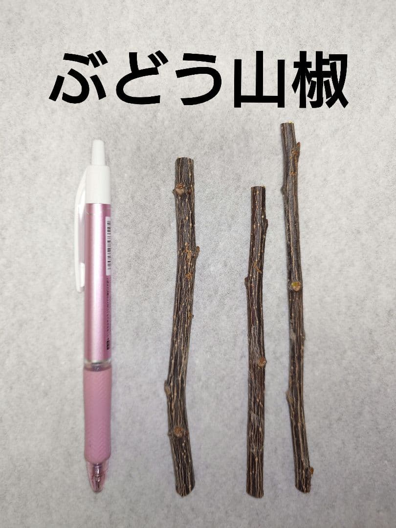選べる穂木　各1〜3本スモモ、キウイ等　写真はイメージです