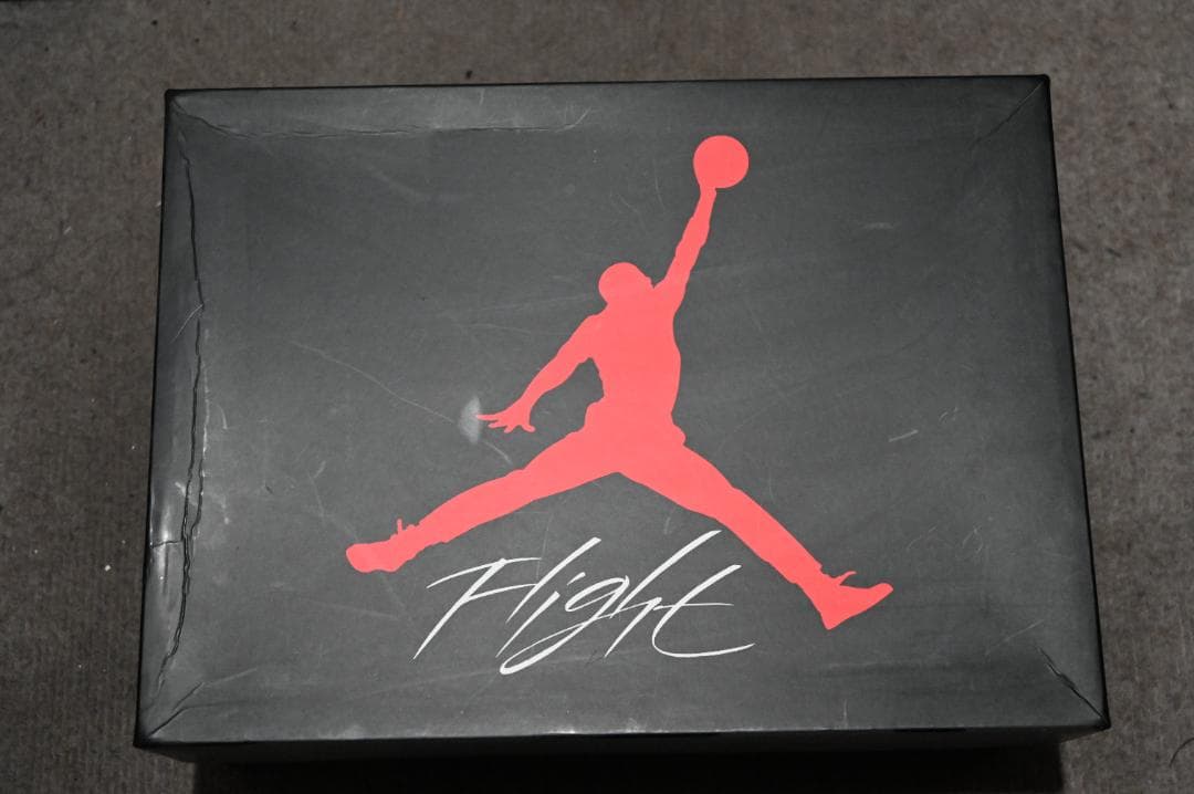 【28cm】Air Jordan 4 \"COOL GRAY\"