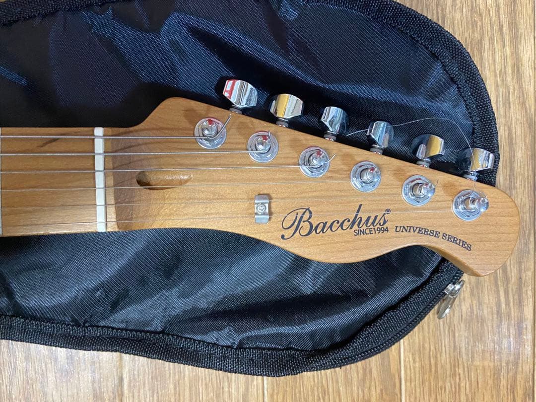 Bacchus Universe Series テレキャスター