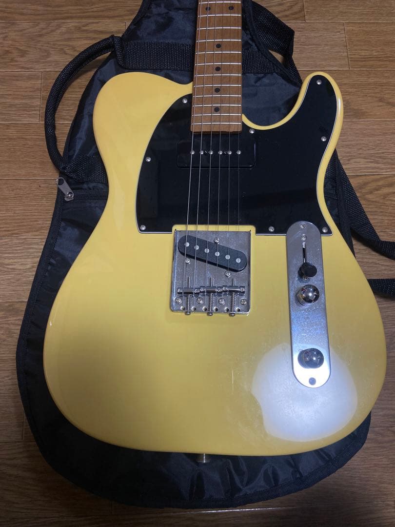 Bacchus Universe Series テレキャスター