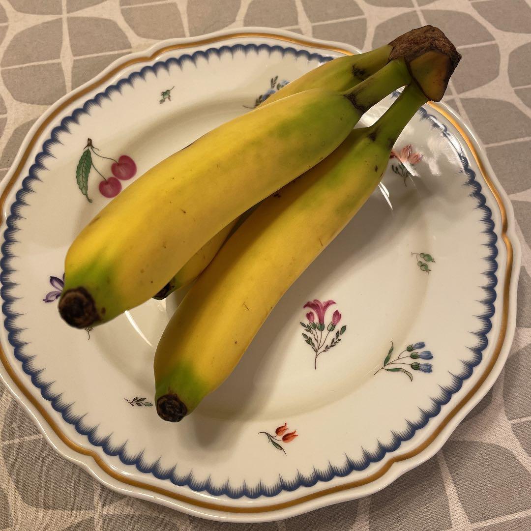 リチャードジノリイタリアンフルーツディナー皿24センチ