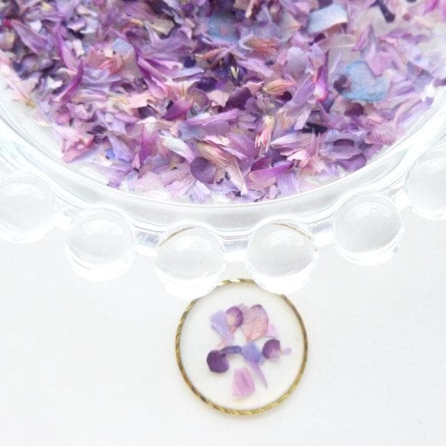 あ様◆【ドライフラワー】花びらのカケラMIX （ 828 パーツ レジン 小花）