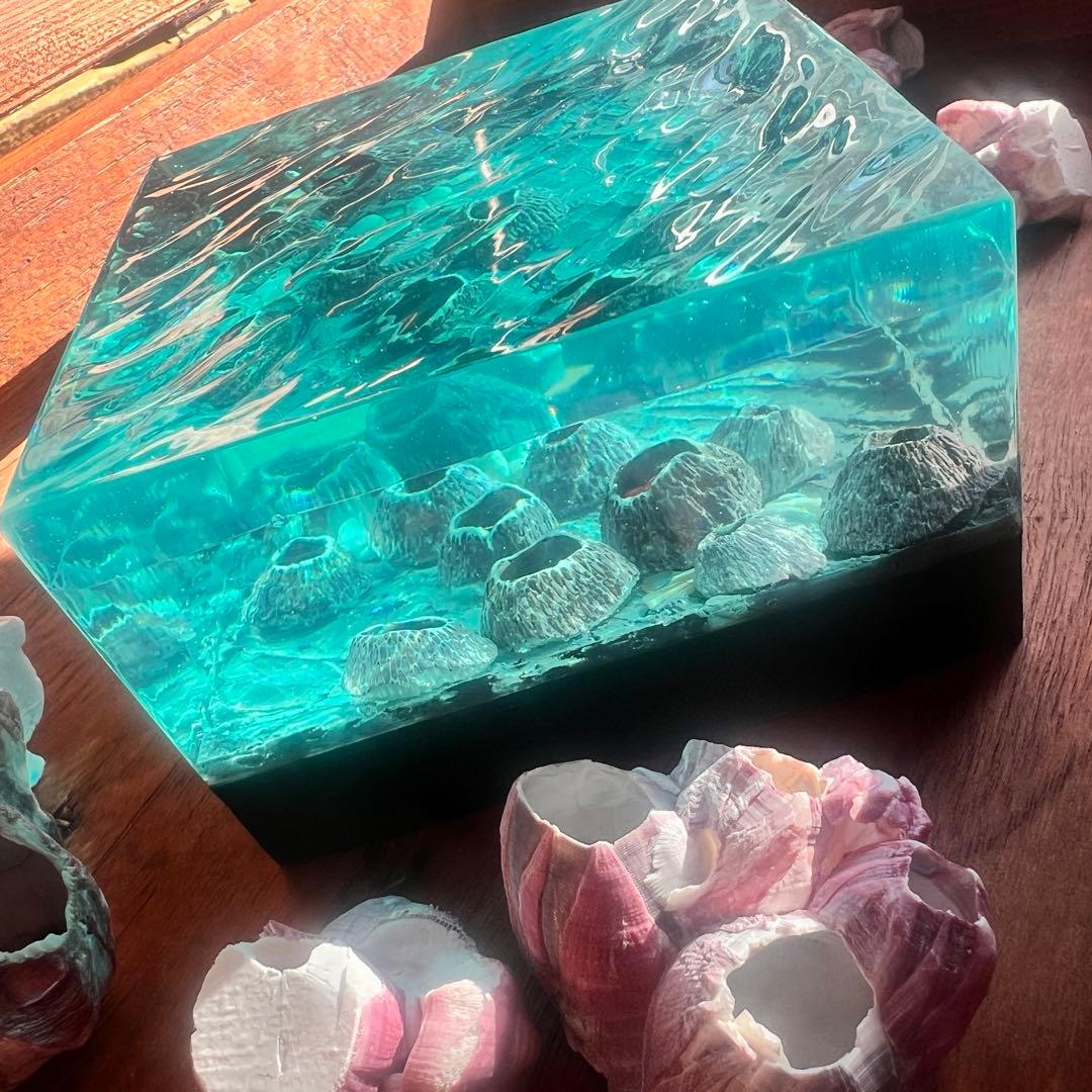 【波紋アート】Real Ocean／barnacle／フジツボ／10cmプリズム