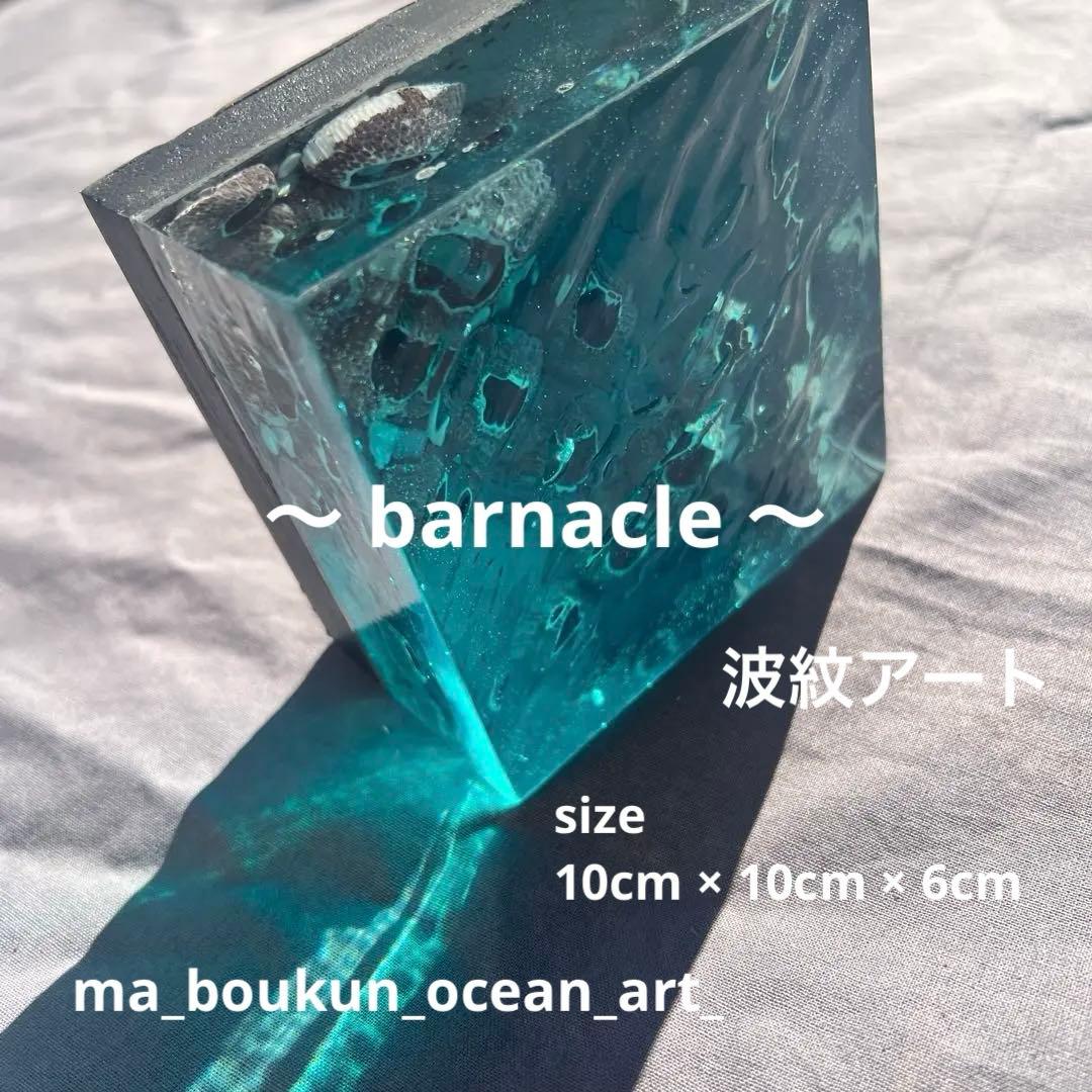 【波紋アート】Real Ocean／barnacle／フジツボ／10cmプリズム