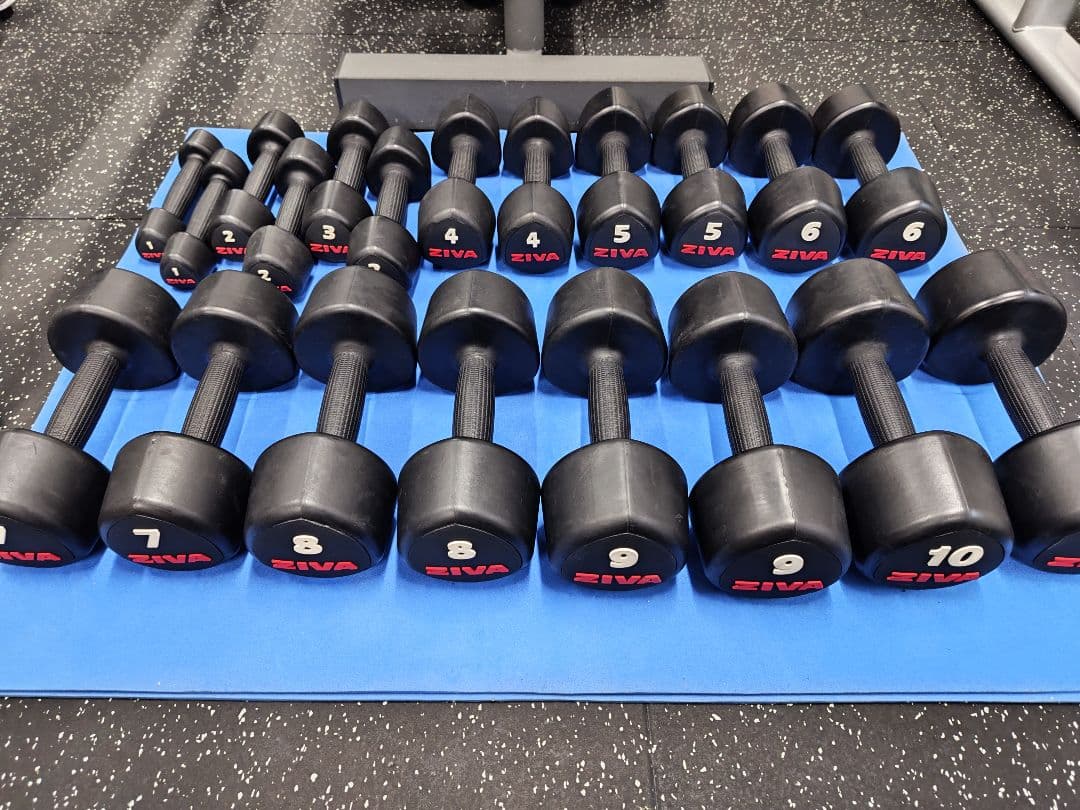 ■大阪引取■ZIVA業務用ダンベルラック＋ウレタンダンベルセット(1〜10kg)